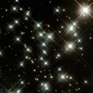 Meet your Posher, Spencer